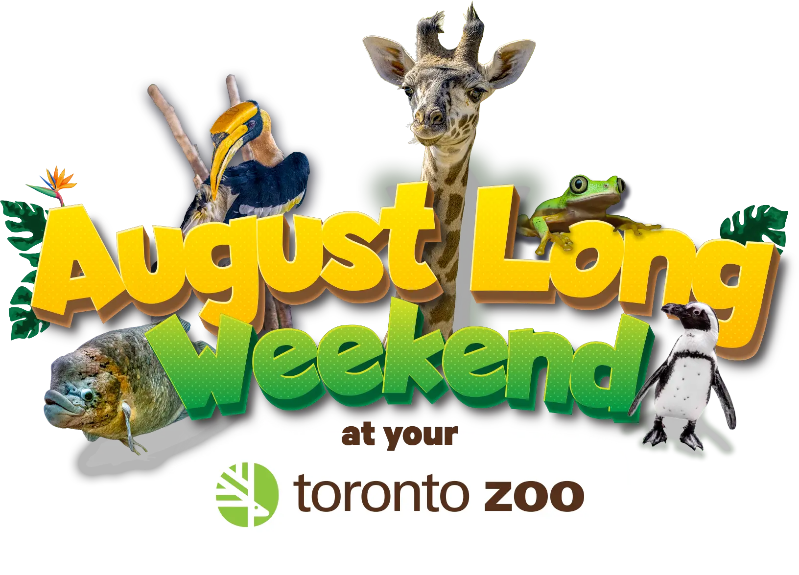 Canada Day at your Toronto Zoo