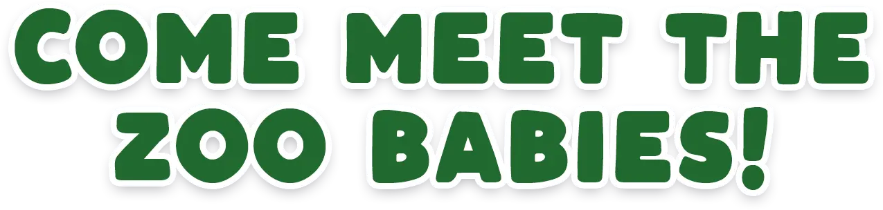 Come Meet Your Zoo Babies