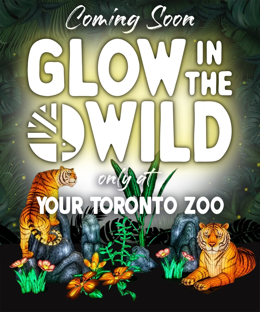 WILD SUMMER OF SOCCER AT YOUR TORONTO ZOO