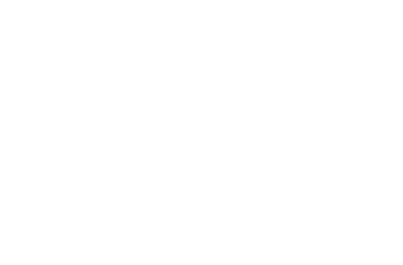 Guardians of Southern Hairy Nosed Wombats