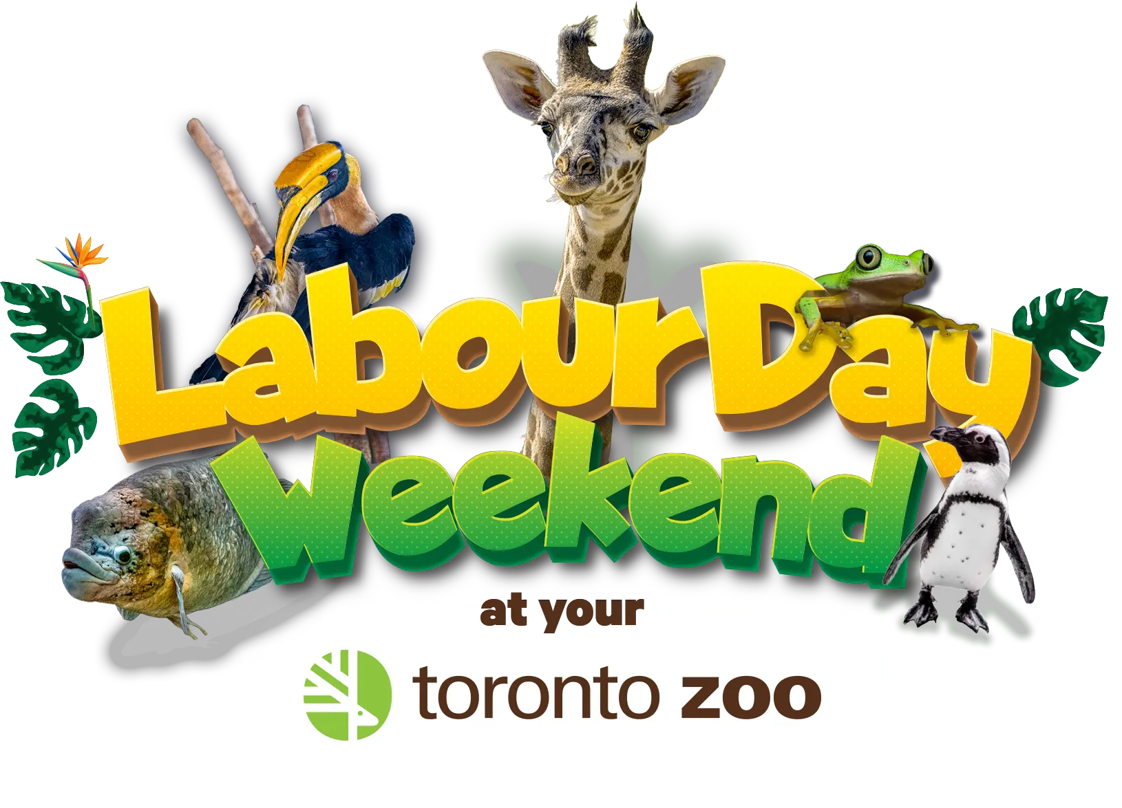 Labour Day Weekend at your Toronto Zoo