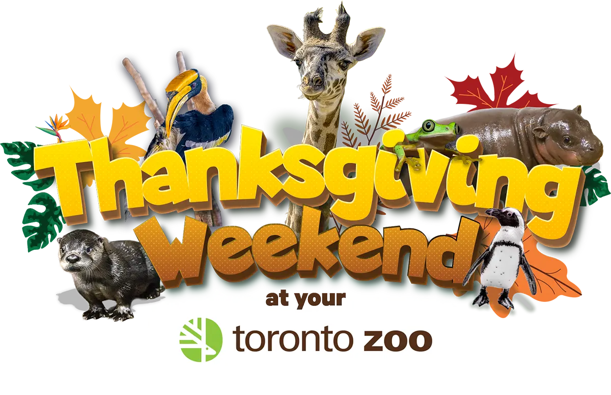 Labour Day Weekend at your Toronto Zoo