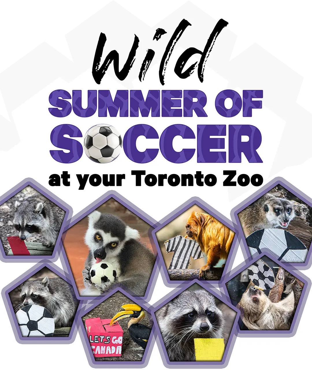 WILD SUMMER OF SOCCER AT YOUR TORONTO ZOO