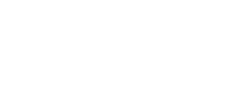 Wilder Institute