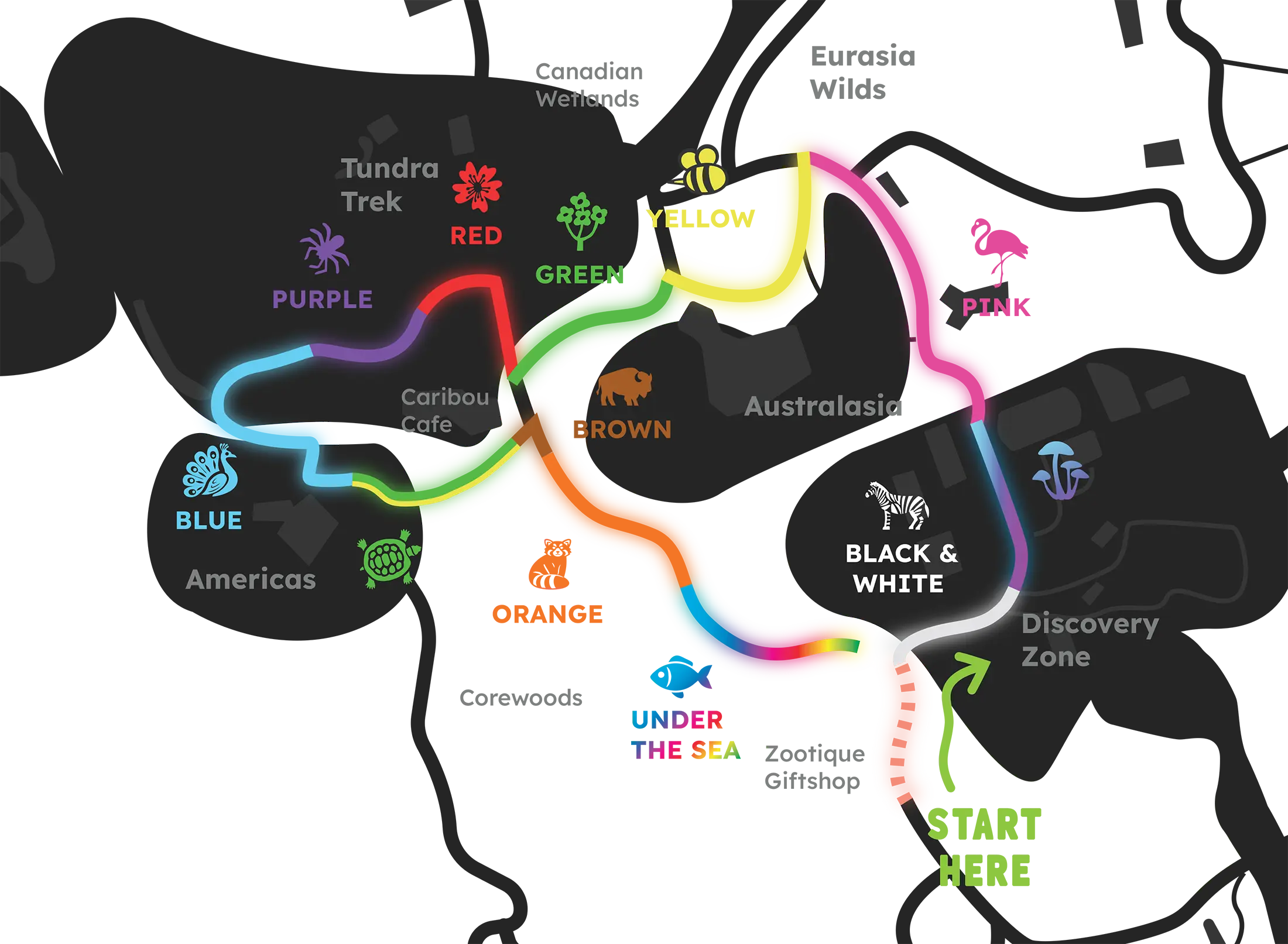 Map of the Glow in the Wild route through your Toronto Zoo - the map starts off in the zoo's discovery zone and travels through 11 custom coloured routes beginning with Black and White, followed by Pink, Yellow, Green, Red, Purple, Blue, Green/Yellow, Brown, Orange, and then Rainbow labelled 'Under the Sea' before completing near the Zootique Gift Shop