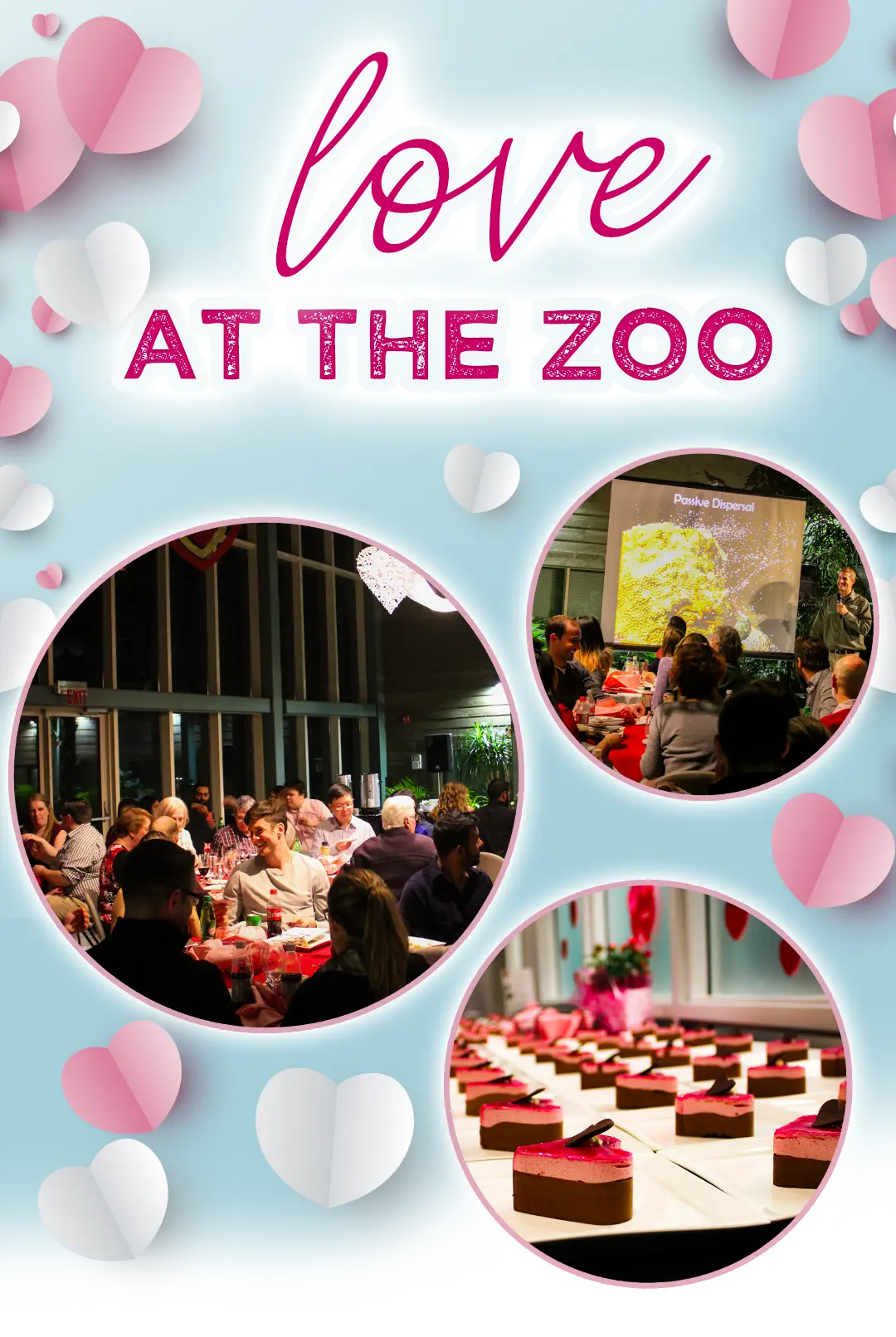 Love at the Zoo - Images surrounded by hearts of people enjoying an eloquent dinner together, a special presentation and heart shaped cakes