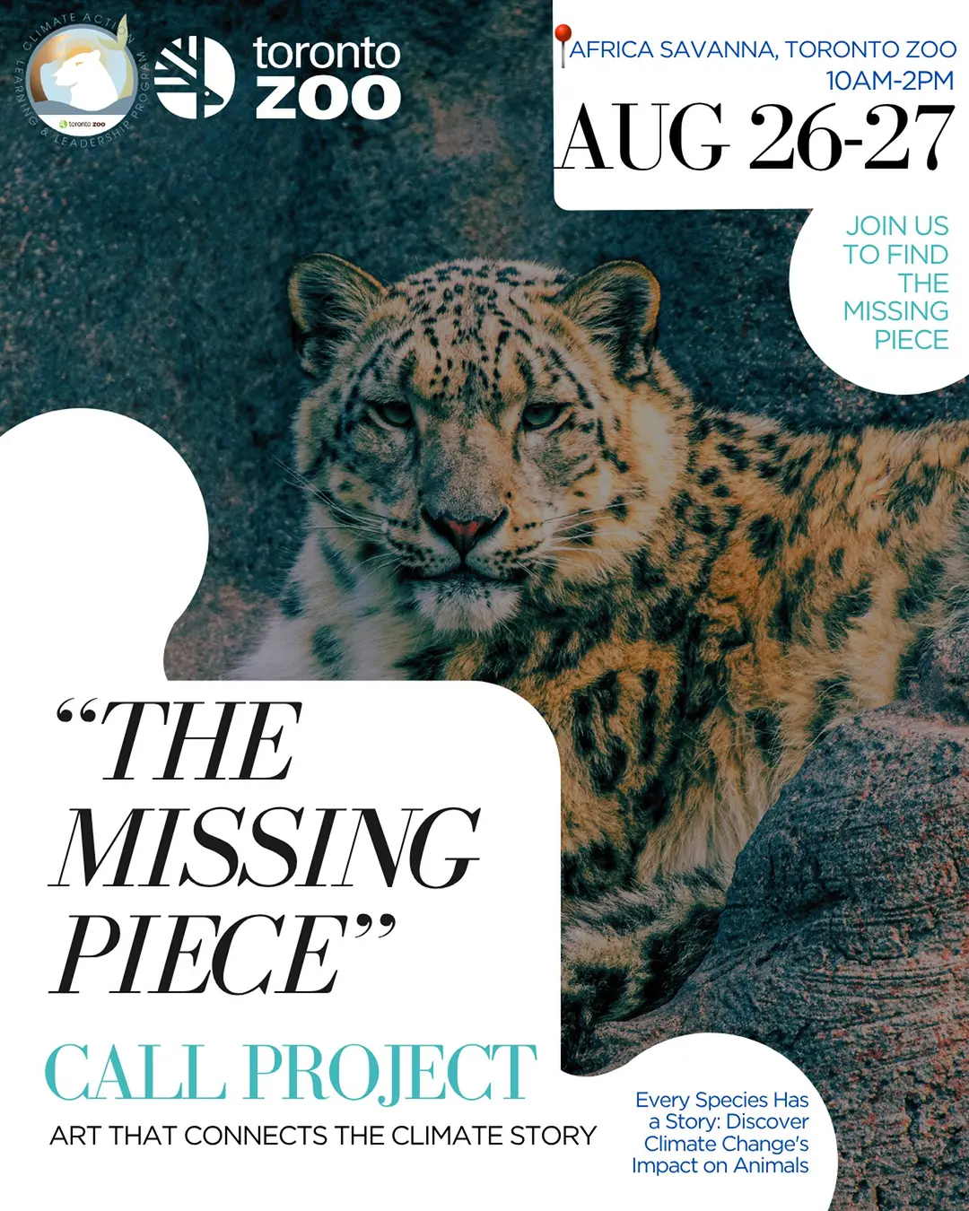 Missing Piece Call Poster