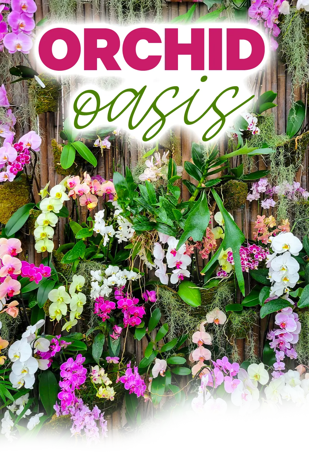 Love at the Zoo - Images surrounded by hearts of people enjoying an eloquent dinner together, a special presentation and heart shaped cakes