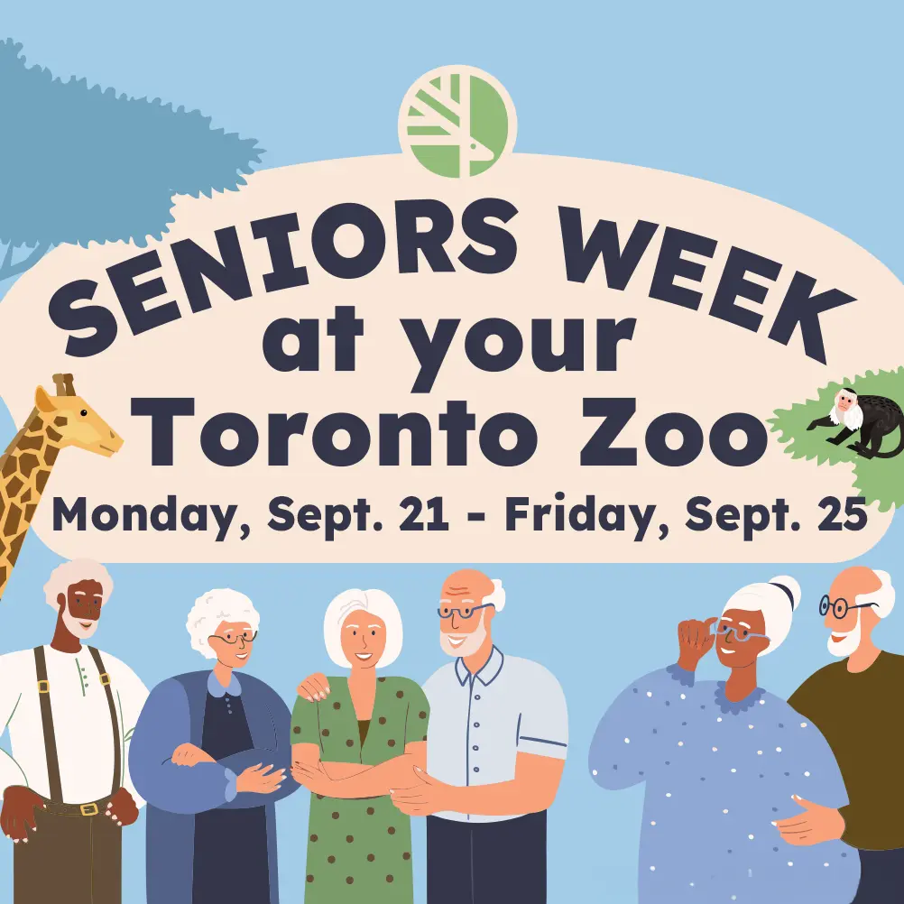 Seniors Week at your Toronto Zoo