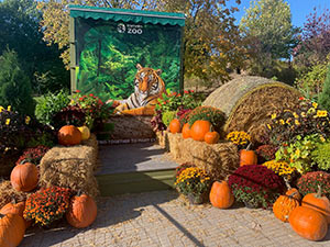 festive holiday display setup at the zoo's front gate