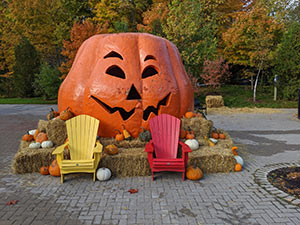The great pumpkin in the Toronto Zoo