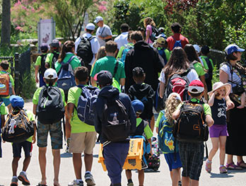 Large group of kids walking at the Zoo