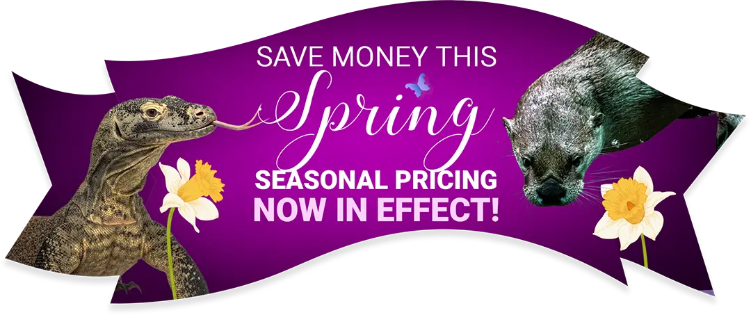 Save Money This Spring - Seasonal Pricing Now in Effect!