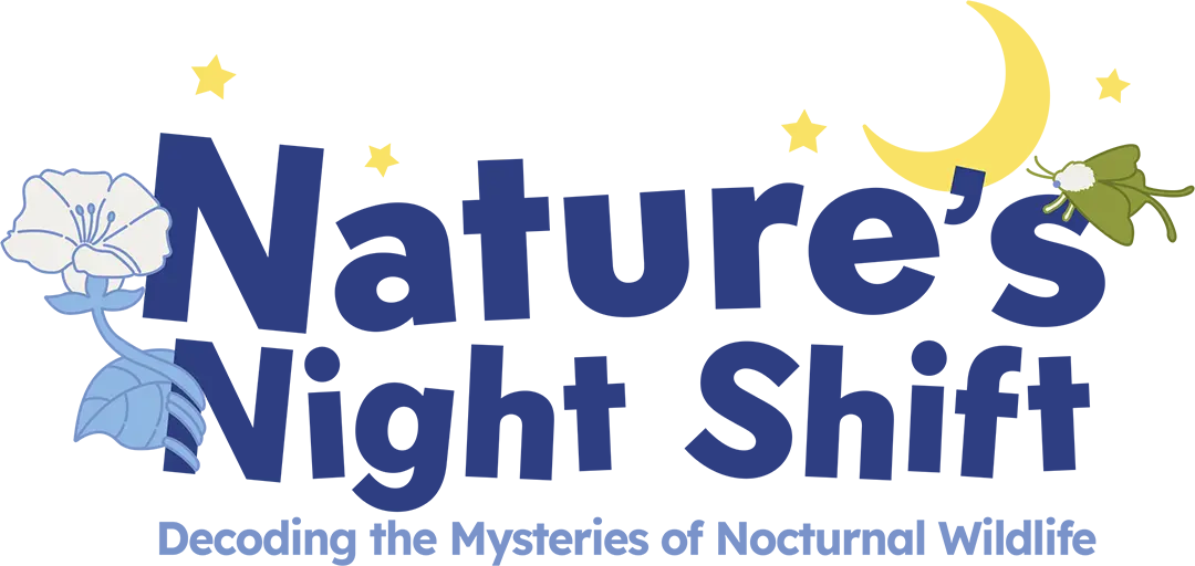 NAture's Night Shift - Decoding the Mysteries of Nocturnal Wildlife