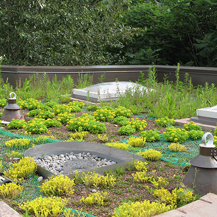 A green roof at the Toronto Zoo