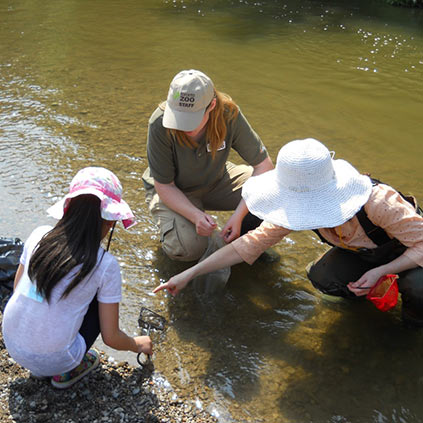 People with a Zoo employee investigating a river bank