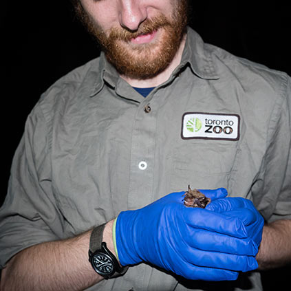 Zoo employee holding a bat