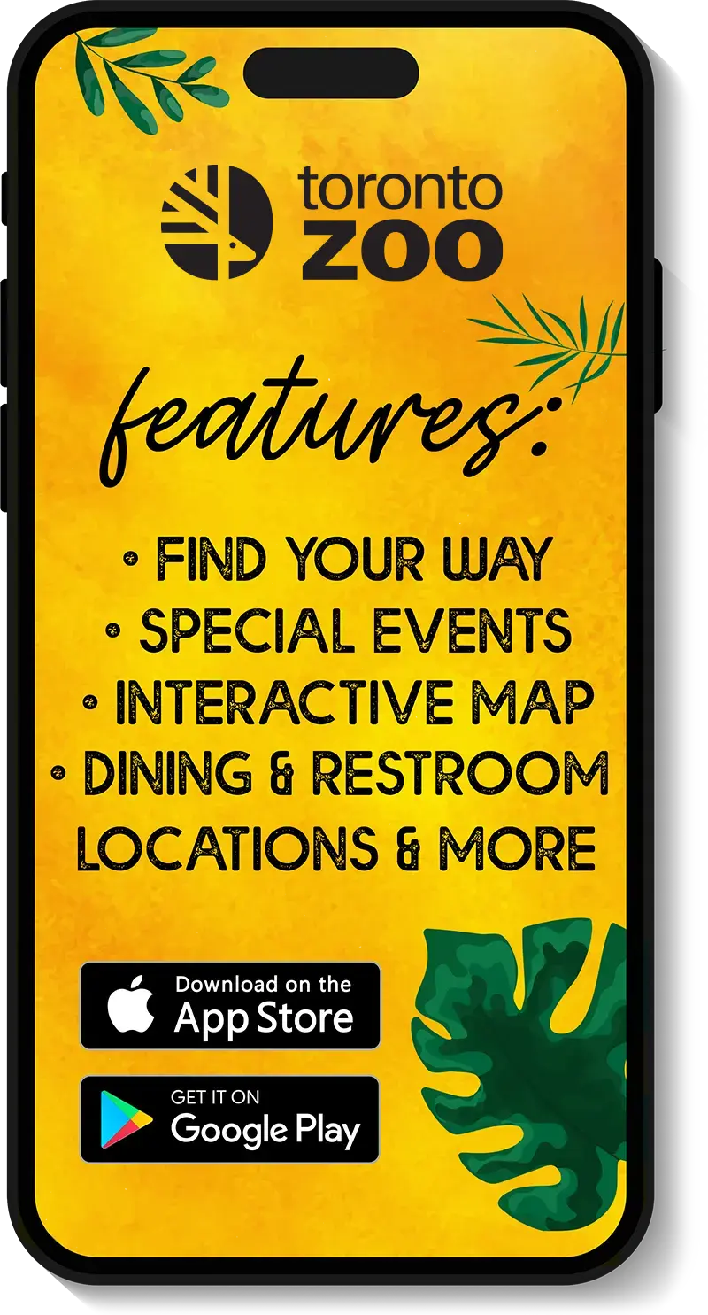 Toronto Zoo Admission Tickets Toronto Zoo Admission Tickets