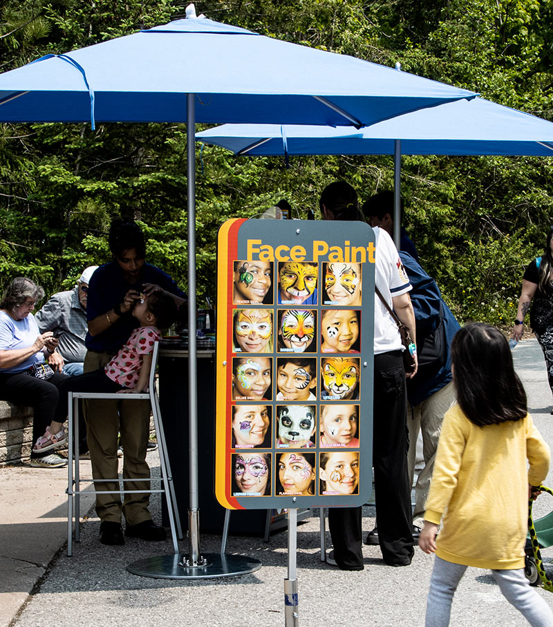 A girl approaches a Face painting booth at the Zoo