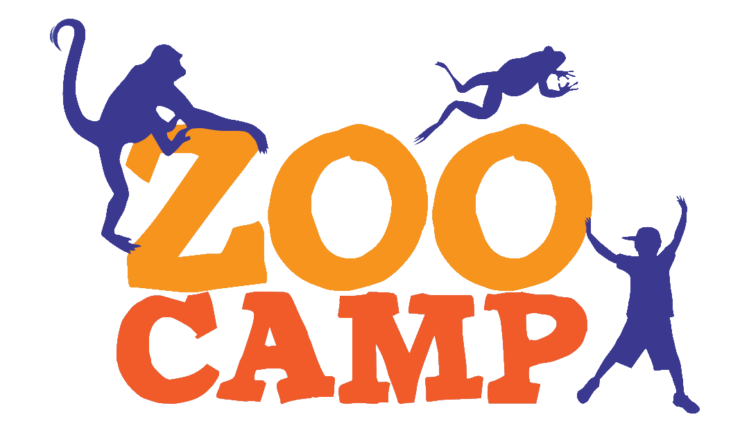 ZOO CAMP