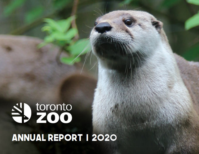 Cover of Annual Report 2020 document