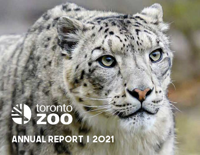 Cover of Annual Report 2021 document