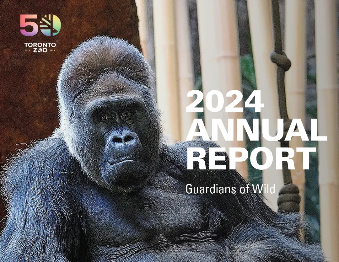 Cover of the Strategic Plan document