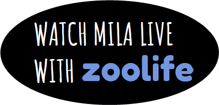 WATCH MILA LIVE WITH Zoolife