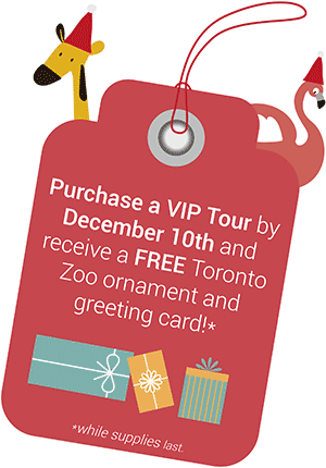 Purchase a VIP Tour by December 10th and receive a FREE Toronto Zoo ornament and greeting card! While supplies last