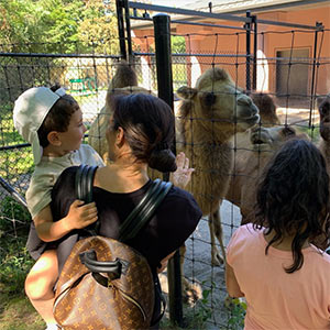 Woman holds her child up a they get an up close encounter with a camel at the Zoo