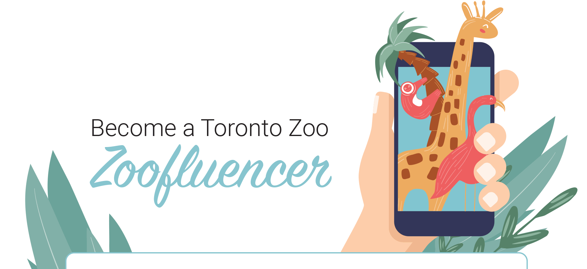 Become a Toronto Zoo Zoofluencer