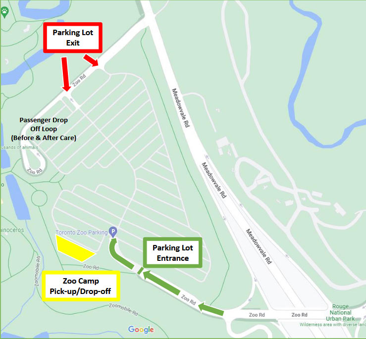 Zoo Camp Camper Drop-Off Space Map