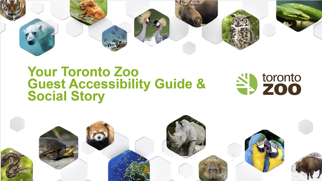 Picture depicts the front cover, which reads 'Your Toronto Zoo ​Guest Accessibility Guide & Social Story' accompanied by many images of Toronto Zoo animals