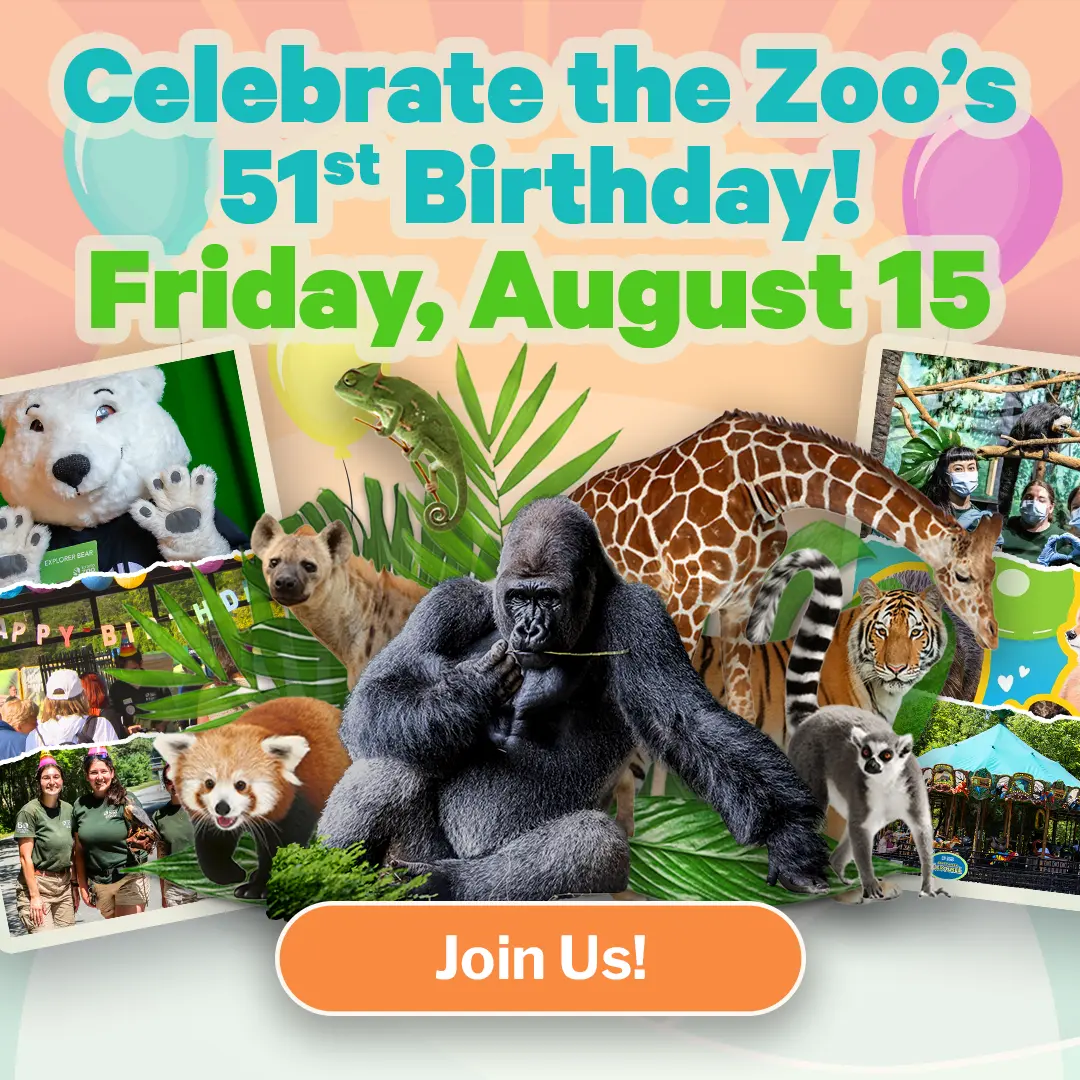 Celebrate the Zoo's' 51st Birthday! - Friday, August 15 - Join Us!