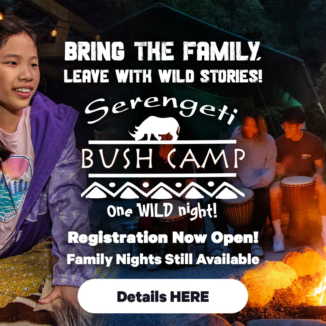 Serengeti Bush Camp - One Wild Night! - Bring the family, Leave with wild stories! - Registration Now Open! Family Nights Still Available - Details Here