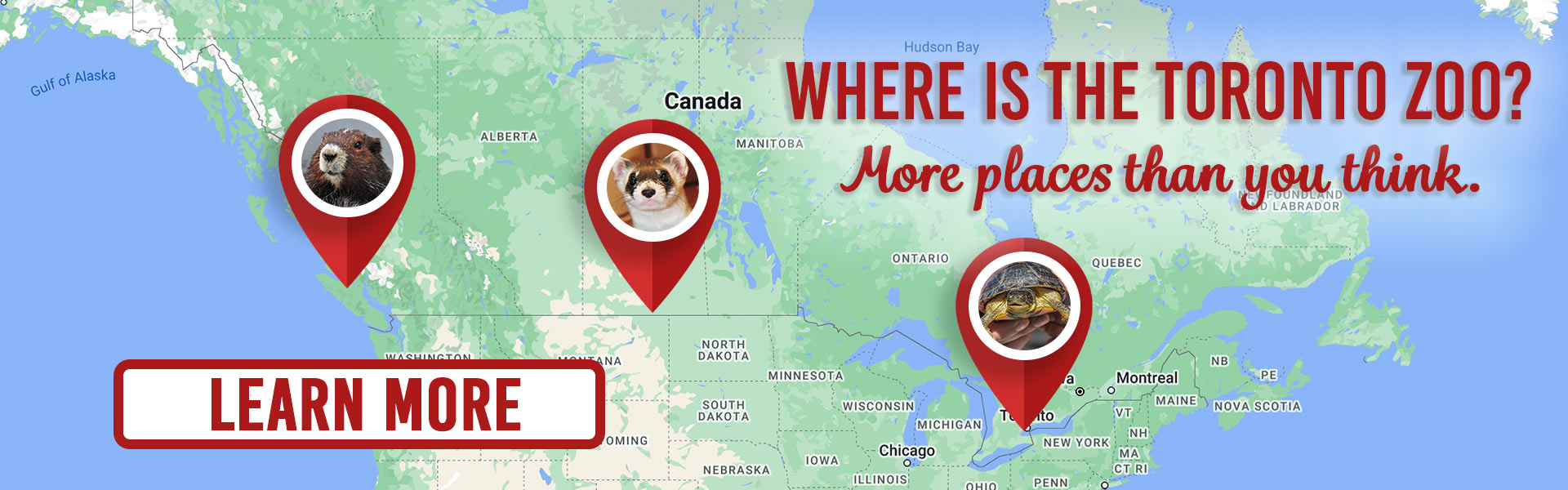 Where is the Toronto Zoo? More places then you think
