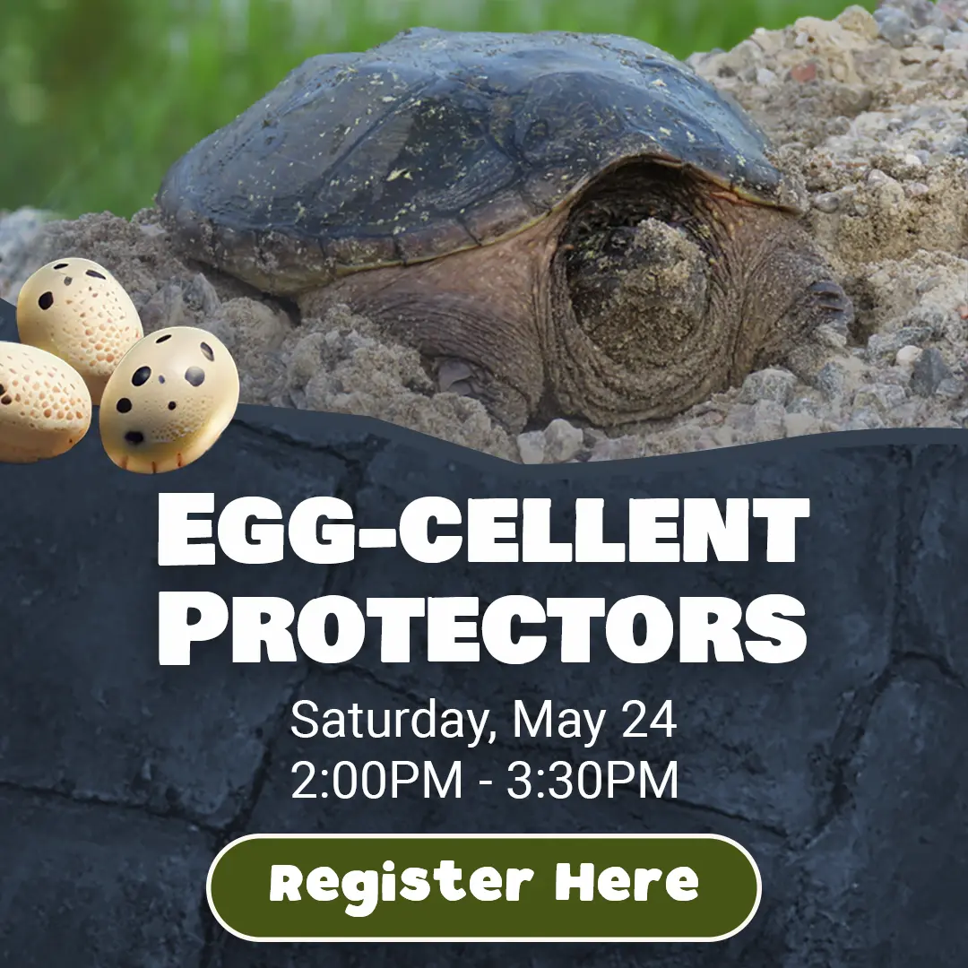 Egg-cellent Protectors - Saturday, May 24 - Register Here!