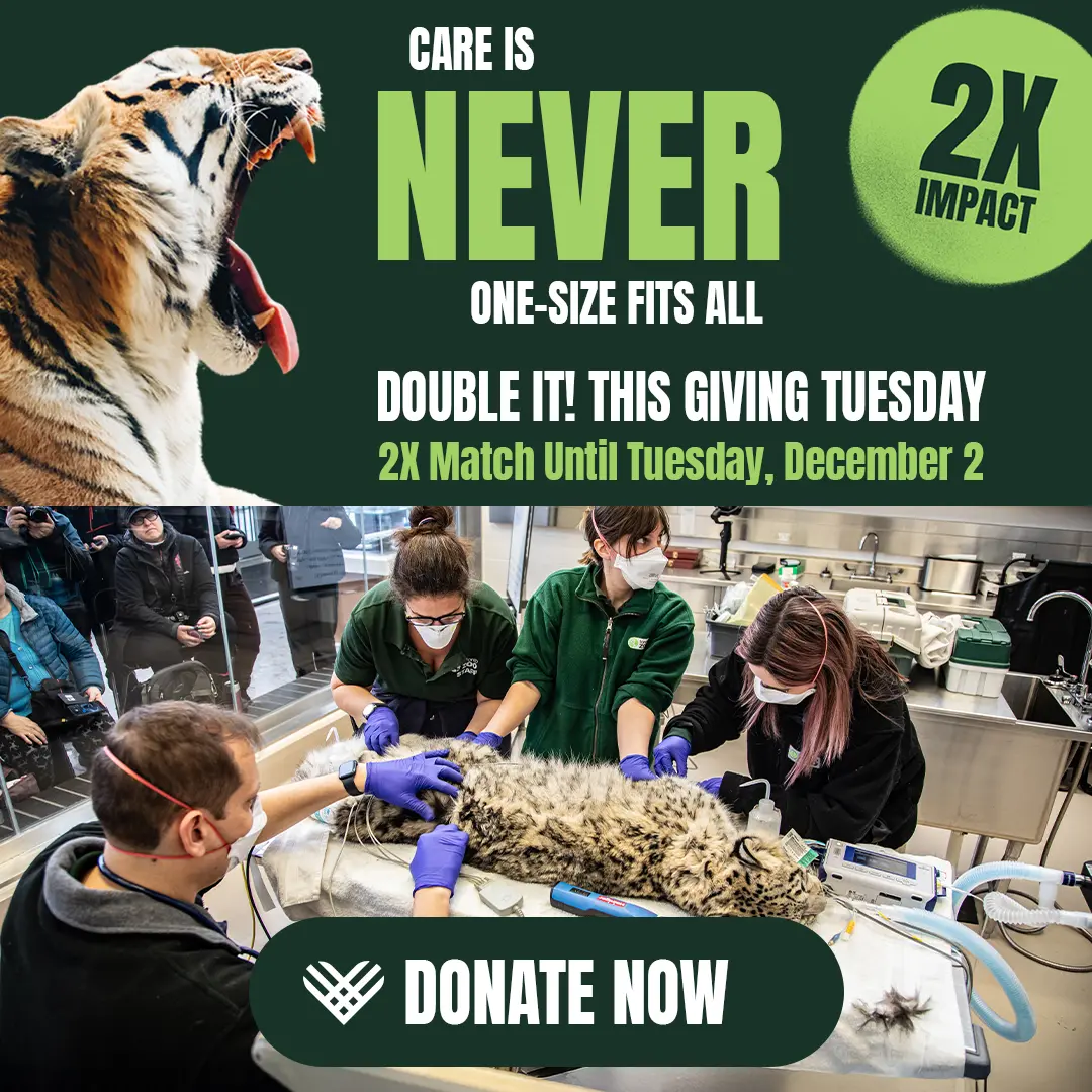 CARE IS NEVER ONE SIZE FITS ALL - DOUBLE IT! THIS GIVING TUESDAY - 2X Match Until Tuesday, December 2 - DONATE NOW