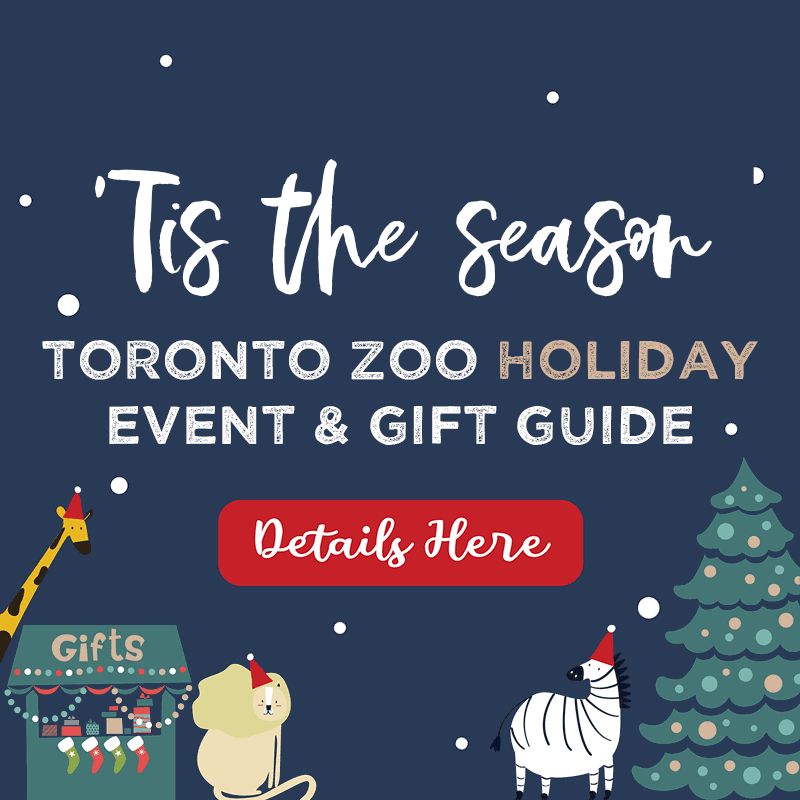 Toronto Zoo Holiday Event and Gift Guide - Details HERE