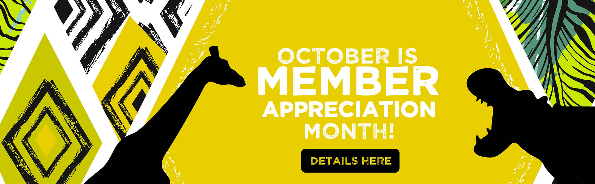 October is member appreciation month