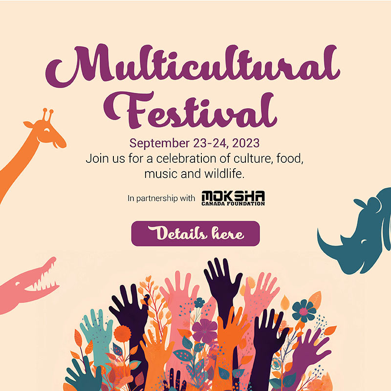 MultiCultural Festival - September 23-24, 2023 - Join us for a celebration of culture, food, music and wildlife. In partnership with MOKSHA Canada Foundation - Details Here