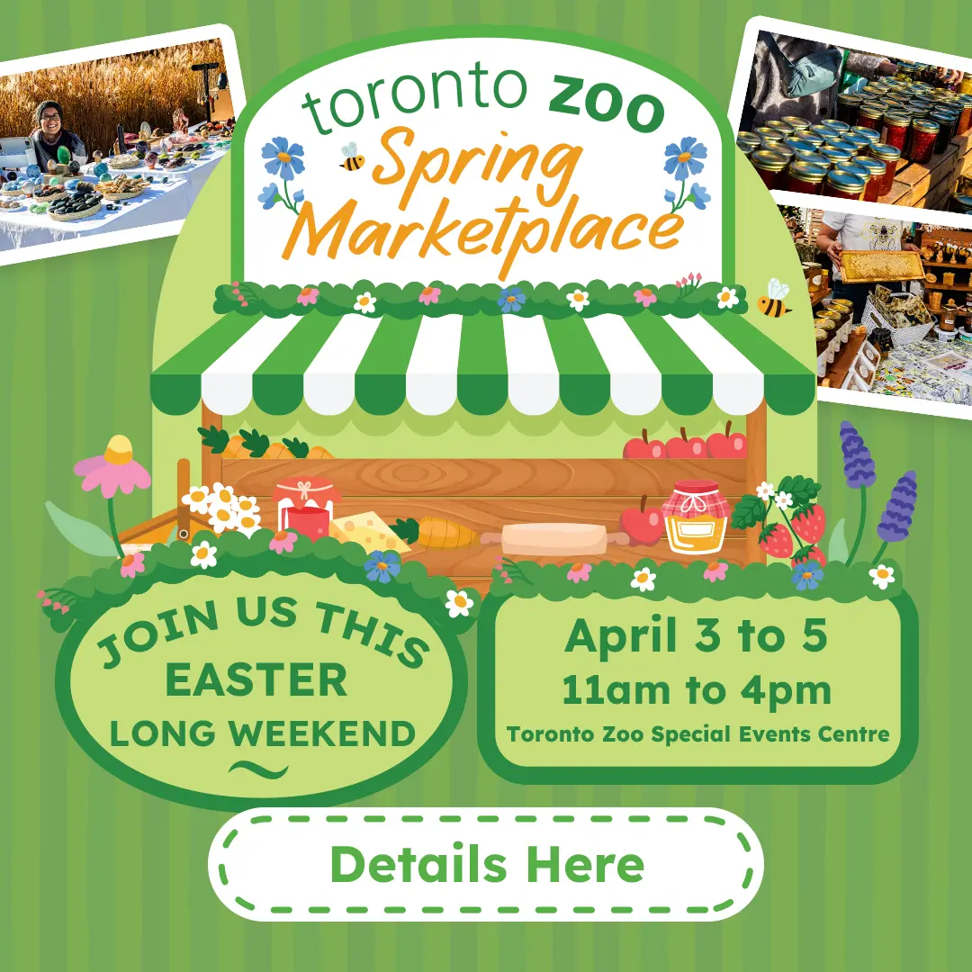 Join us for our Spring Marketplace - Easter Long Weekend - April 3-5, 11:00am-4pm! - Details Here