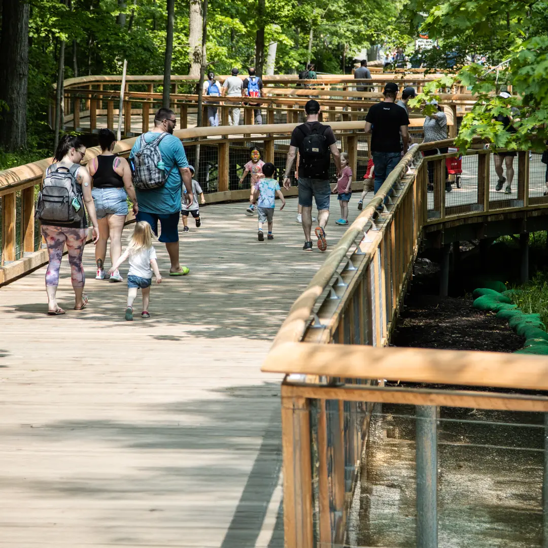 People walk down the new tree covered David Onley Boardwalk a your Toronto Zoo