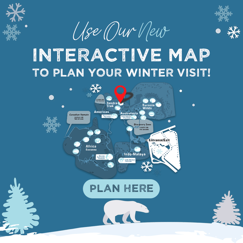 USE OUR NEW INTERACTIVE MAP TO PLAN YOUR WINTER VISIT! - Plan Here