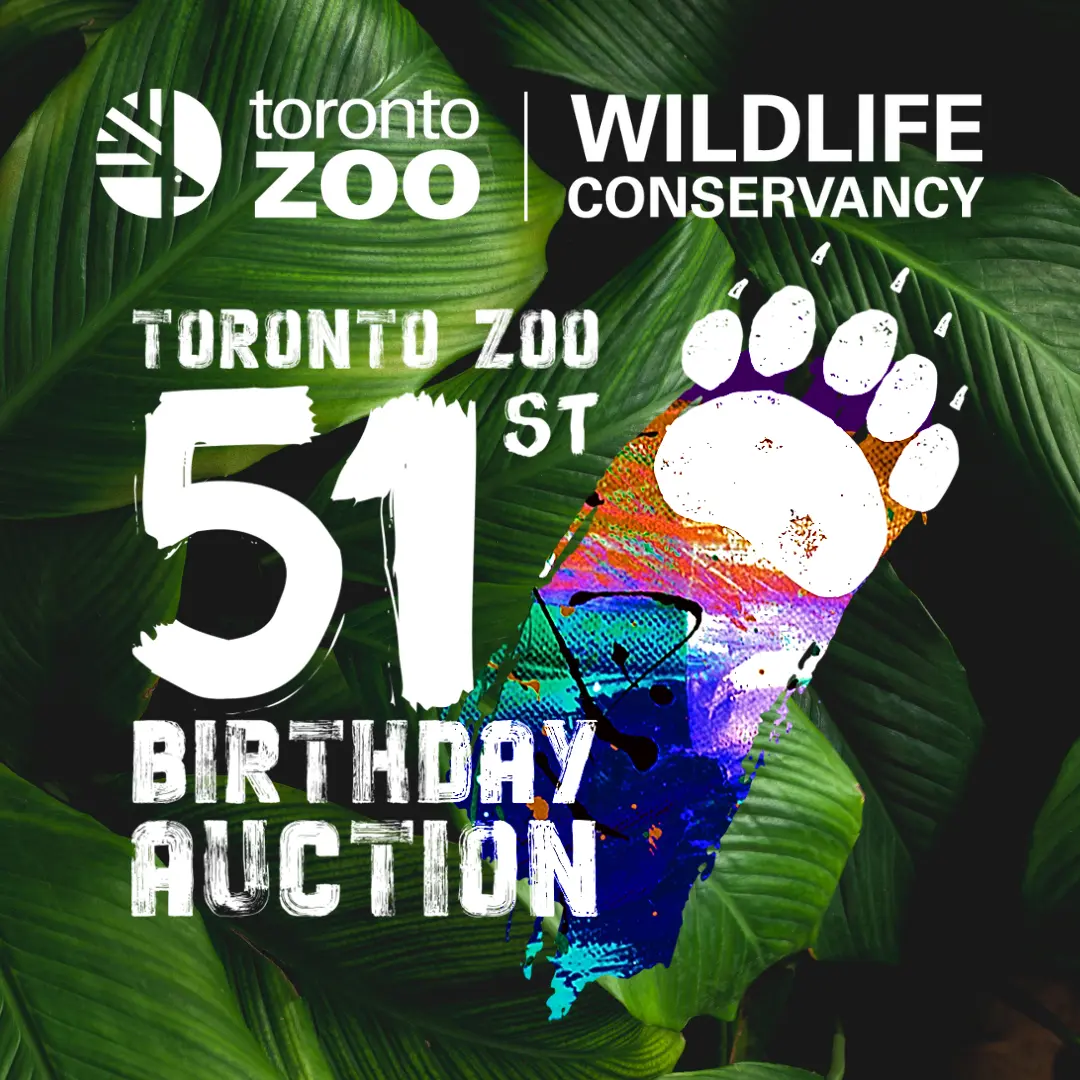 Wildlife Conservancy - Toronto Zoo 51st Birthday - Auction - Details Here