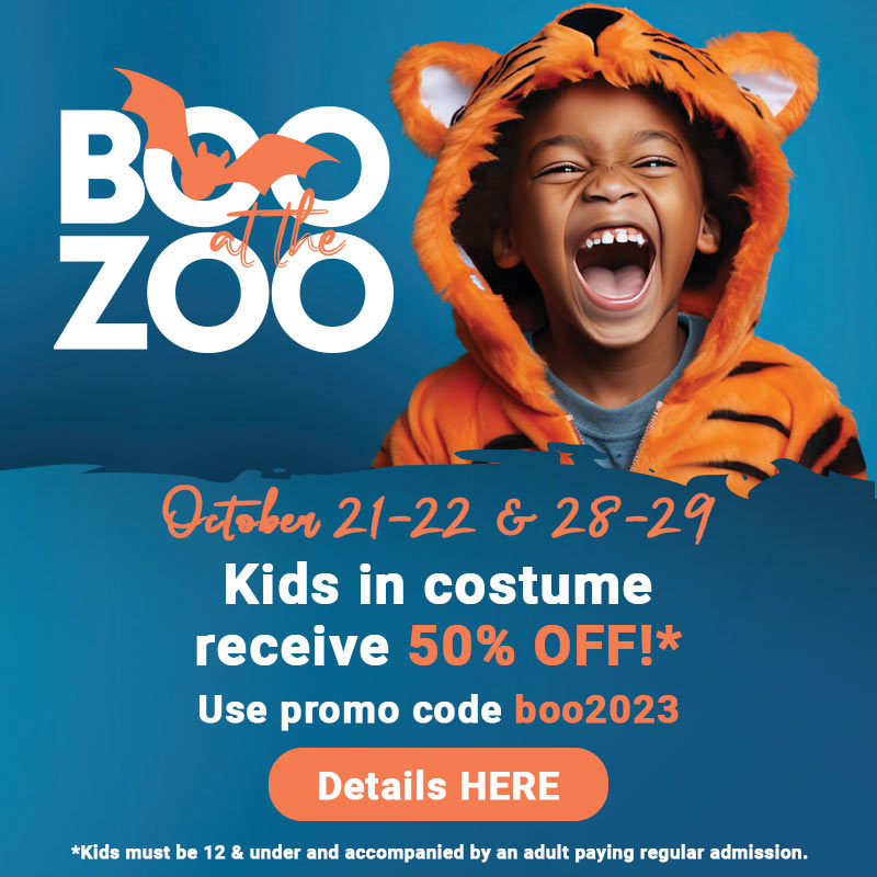 Boo at the Zoo. October 21-22 and October 28-29. Kids in costume (ages 12 and under) receive a hair-raising 50% off admission when accompanied by an adult paying regular admission. Use promo code boo2023. Details Here
