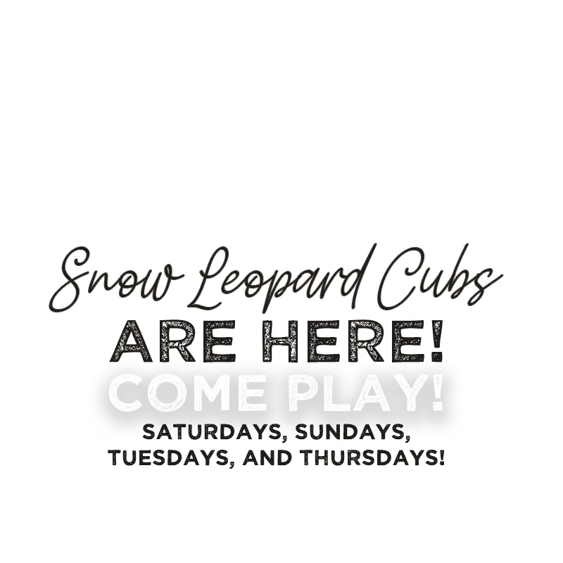 Snow Cubs Are Here! Come Play!