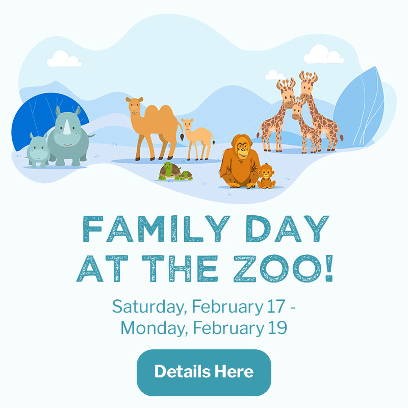 Toronto Zoo Home