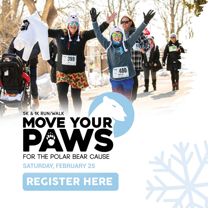 5k and 1k walk or run Move Your Paws for the polar bear cause, 2023, Sat, Feb 25. Register Here