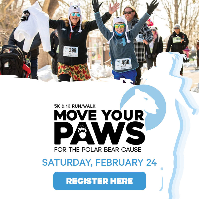 Move Your Paws for the Polar Bear Cause - 5K/1K Run/Walk -Saturday, February 24, 2024 - Register HERE
